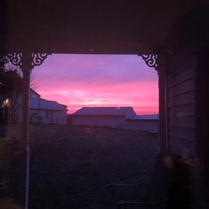 Meet your Posher, Shane